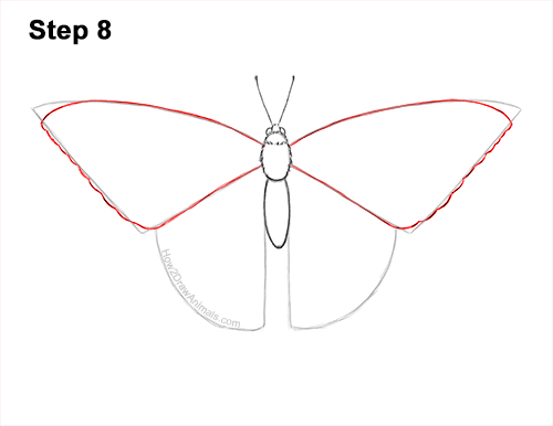 Draw a Western Swallowtail Butterfly 8 How to Draw a Yellow Eastern Tiger Swallowtail Butterfly 8