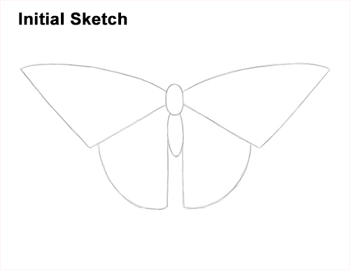 Draw a Western Swallowtail Butterfly Guidelines How to Draw a Yellow Eastern Tiger Swallowtail Butterfly Guides Lines