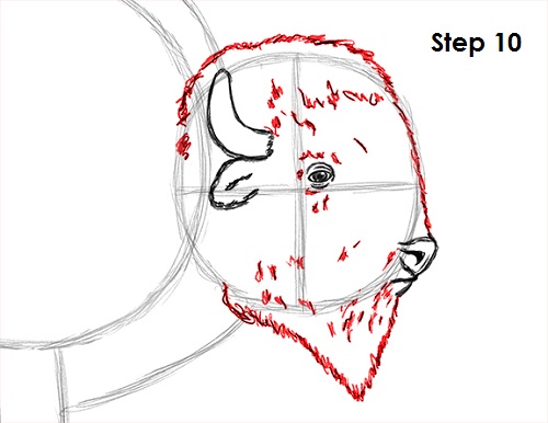 Draw Bison 10