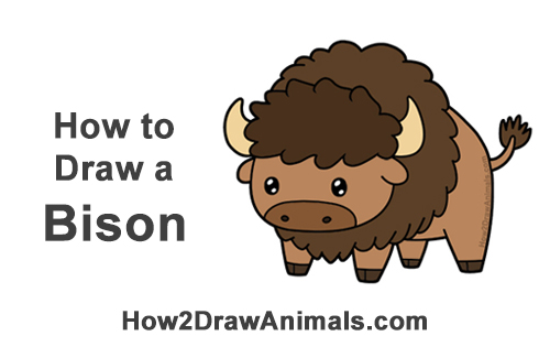 Draw a Cartoon Bison How to Draw Cute Cartoon Bison Buffalo