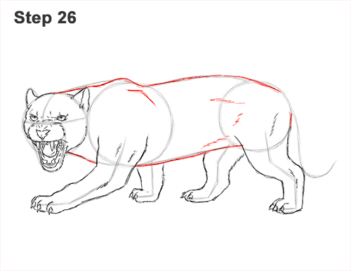 Draw a Black Panther Roaring 26 How to Draw an Angry Black Panther Roaring 26