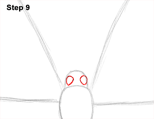 Draw Blue Morpho Butterfly 9