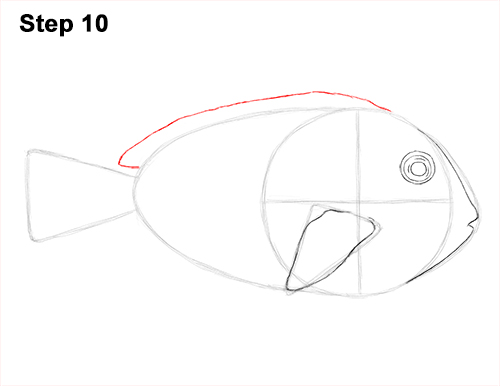 Royal Blue Tang Drawing 10 Draw Regal Blue Tang Fish 10