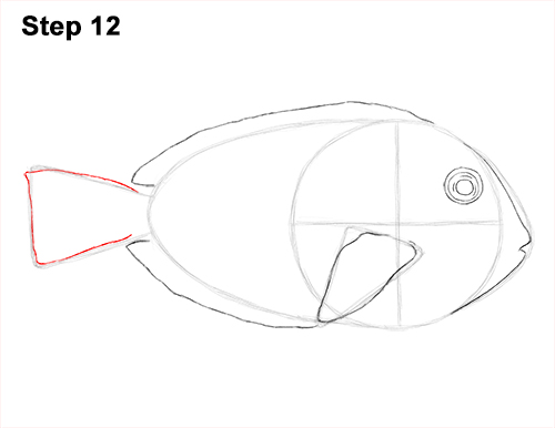 Royal Blue Tang Drawing 12 Draw Regal Blue Tang Fish 12