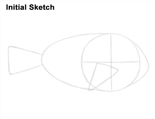 Draw Regal Blue Tang Fish Initial Sketch