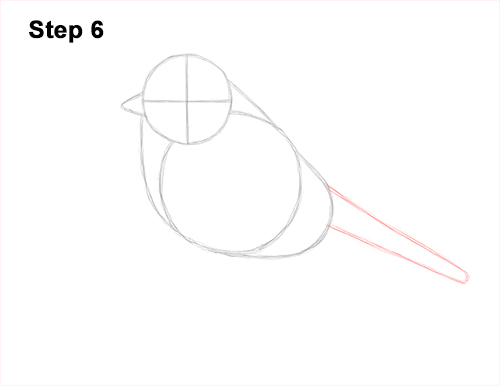 How to Draw a Eurasian Blue Tit Bird 6