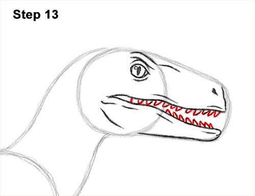 How to Draw Blue Velociraptor Jurassic World Dinosaur 13