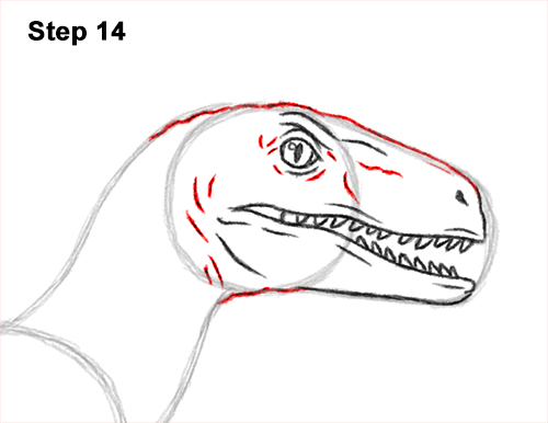 How to Draw Blue Velociraptor Jurassic World Dinosaur 14