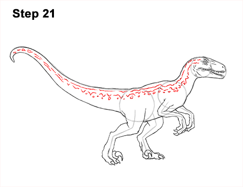 How to Draw Blue Velociraptor Jurassic World Dinosaur 21