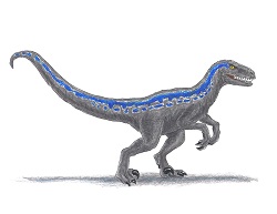 How to Draw a Blue Velociraptor Jurassic World