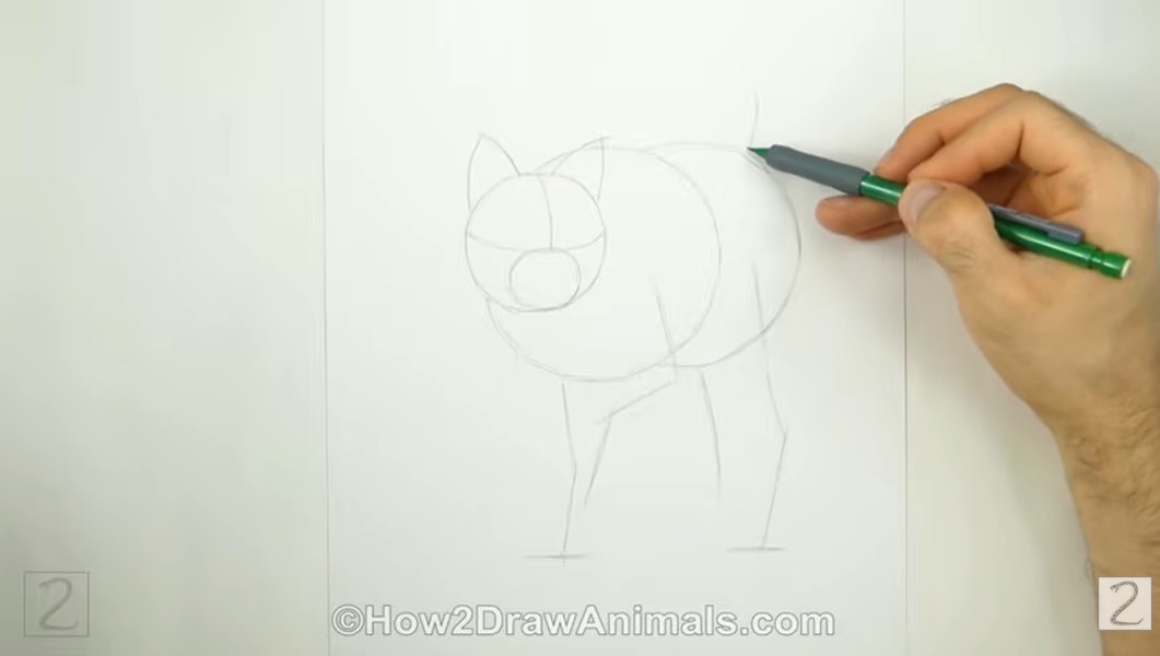 Draw Bobcat Head Circle How to Draw a Bobcat Circle Guide