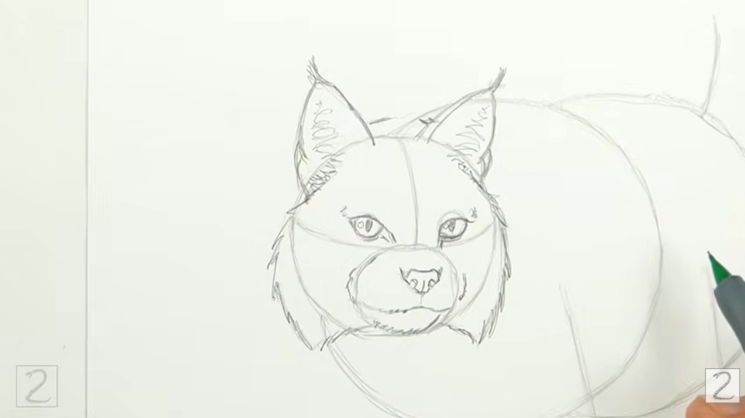 Draw Bobcat Left Eye Details How to Draw Bobcat Eyes