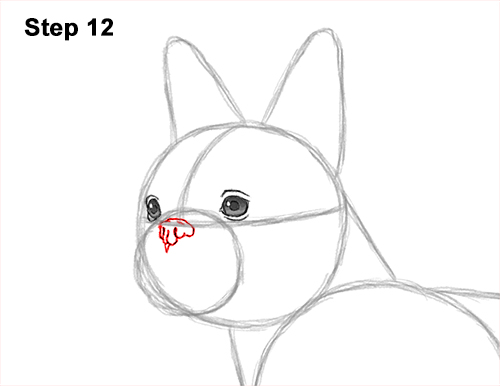 How to Draw a Boston Terrier Puppy Dog 12