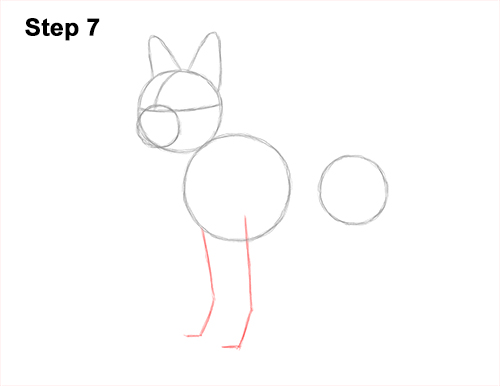 Draw a Boston Terrier Dog Side View 7 How to Draw a Boston Terrier Puppy Dog 7