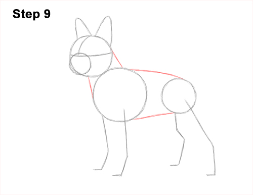 Draw a Boston Terrier Dog Side View 9 How to Draw a Boston Terrier Puppy Dog 9