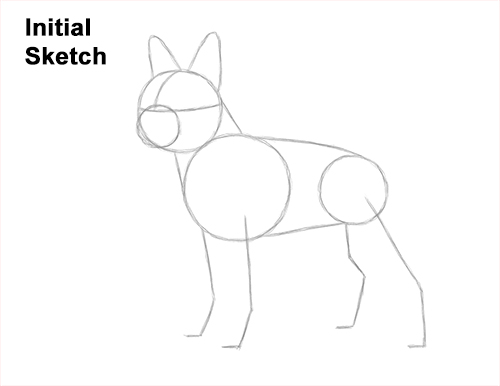 Draw a Boston Terrier Dog Side View Guidelines How to Draw a Boston Terrier Puppy Dog Guides Lines