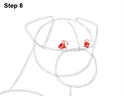 Draw Boxer Dog 8