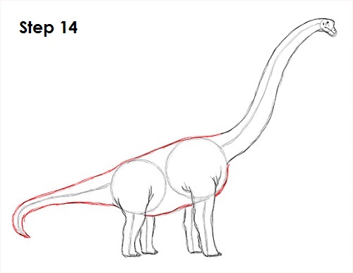 Draw Brachiosaurus 14
