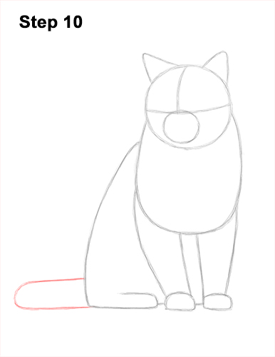 How to Draw British Blue Shorthair Cat Sitting 10
