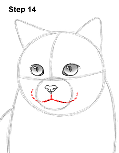 How to Draw British Blue Shorthair Cat Sitting 14