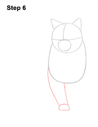 How to Draw British Blue Shorthair Cat Sitting 6