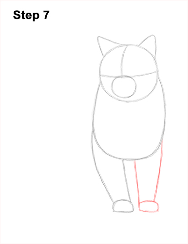 How to Draw British Blue Shorthair Cat Sitting 7