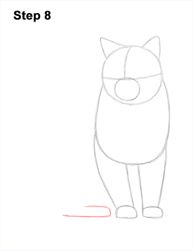 How to Draw British Blue Shorthair Cat Sitting 8