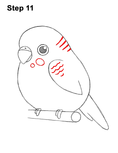 Draw a Cartoon Budgie 11 How to Draw Cute Cartoon Budgie Parakeet Bird 11