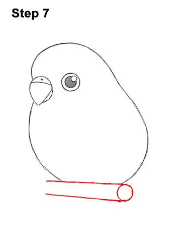 Draw a Cartoon Budgie 7 How to Draw Cute Cartoon Budgie Parakeet Bird 7