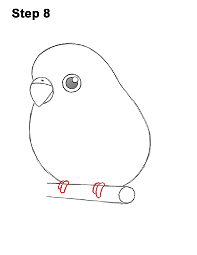 Draw a Cartoon Budgie 8 How to Draw Cute Cartoon Budgie Parakeet Bird 8