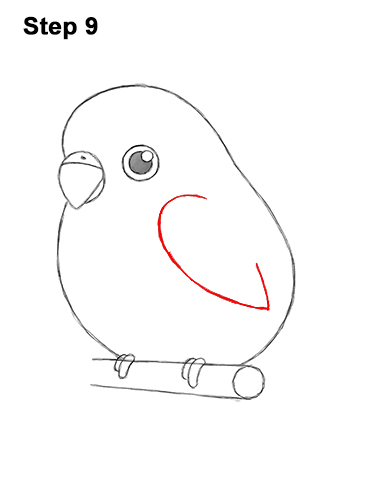 Draw a Cartoon Budgie 9 How to Draw Cute Cartoon Budgie Parakeet Bird 9