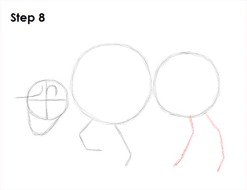 Draw Bull 8