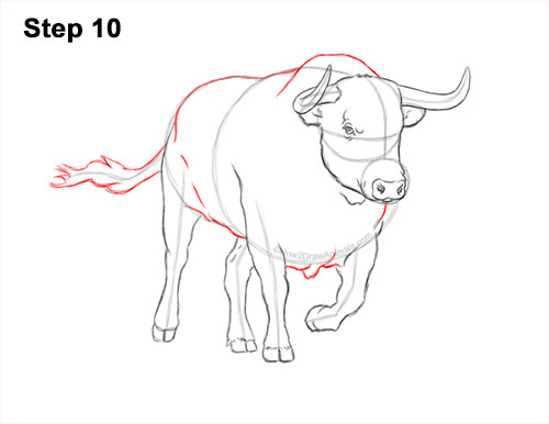 How to Draw a Bull Charging Forward 10