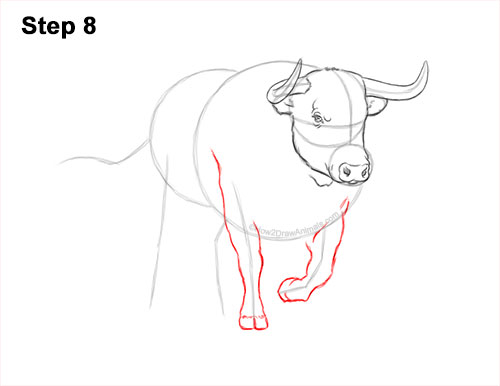 How to Draw a Bull Charging Forward 8