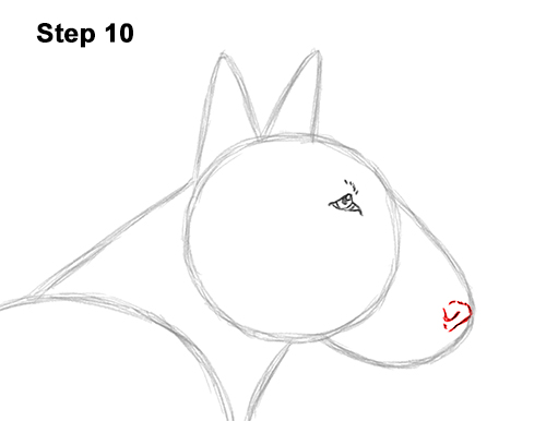 How to Draw a Bull Terrier Dog Puppy Side View 10