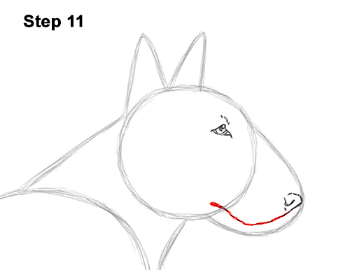 How to Draw a Bull Terrier Dog Puppy Side View 11