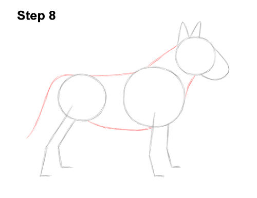 How to Draw a Bull Terrier Dog Puppy Side View 8