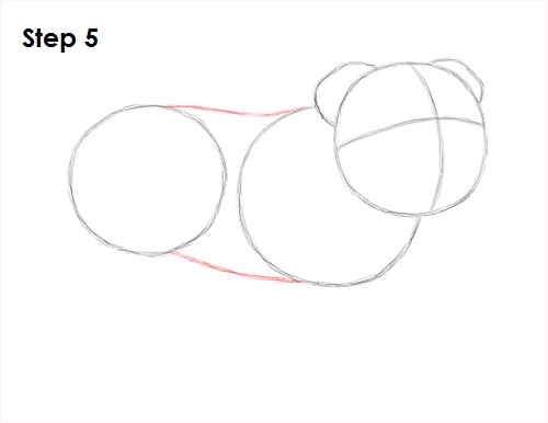 Bulldog Dog Drawing 5 Draw Bulldog 5