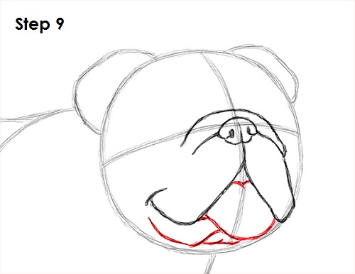 Draw Bulldog 9