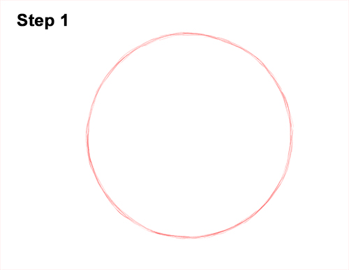 How to Draw a Bulldog Head Portrait Face 1