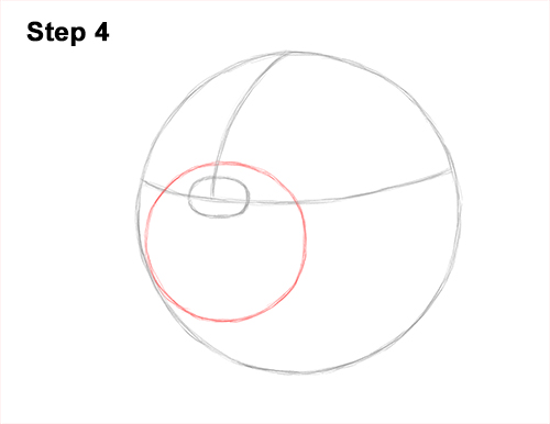 How to Draw a Bulldog Head Portrait Face 4
