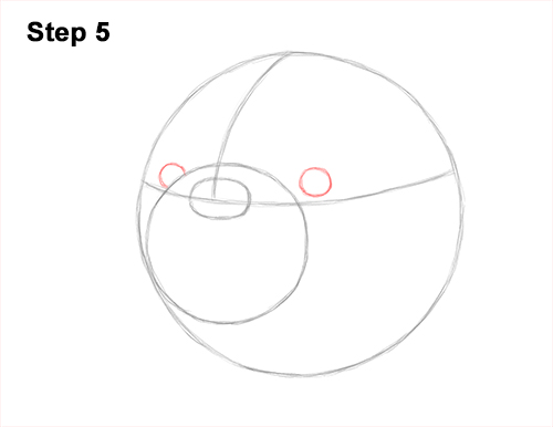 How to Draw a Bulldog Head Portrait Face 5