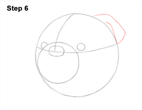 Draw a Bulldog Dog Head 6 How to Draw a Bulldog Head Portrait Face 6