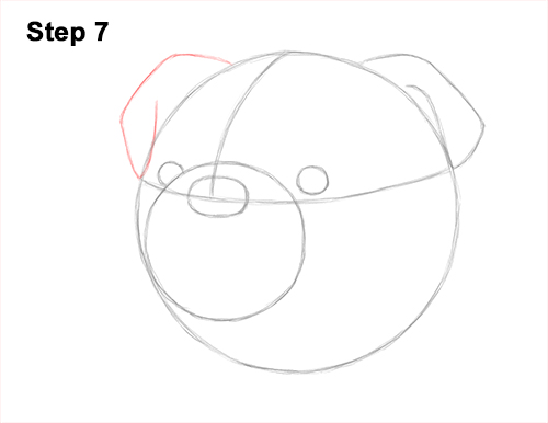 Draw a Bulldog Dog Head 7 How to Draw a Bulldog Head Portrait Face 7