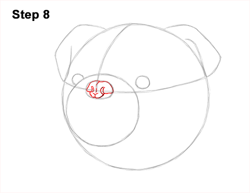 Draw a Bulldog Dog Head 8 How to Draw a Bulldog Head Portrait Face 8