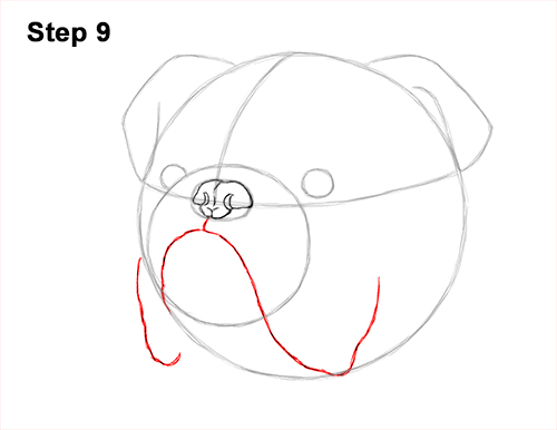 Draw a Bulldog Dog Head 9 How to Draw a Bulldog Head Portrait Face 9