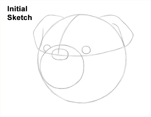 Draw a Bulldog Dog Head Guidelines How to Draw a Bulldog Head Portrait Face Guides Lines