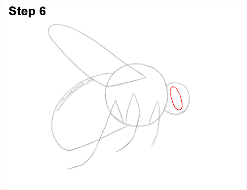 How to Draw a Bumblebee Bee Flying 6