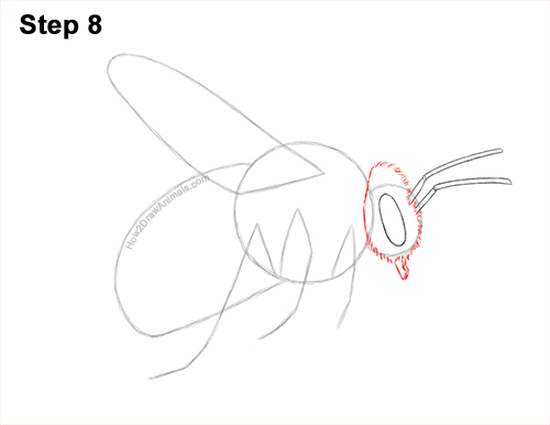 How to Draw a Bumblebee Bee Flying 8