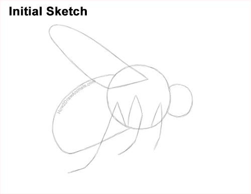 How to Draw a Bumblebee Bee Flying Guides Lines